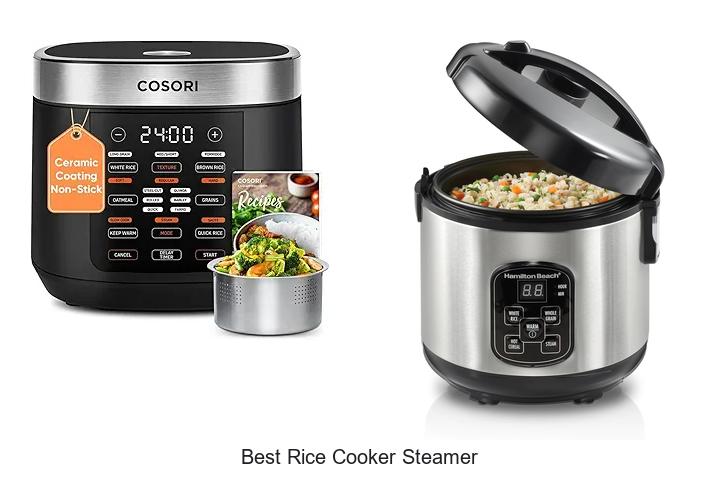 best rice cooker steamer